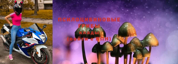 дмт Алексеевка