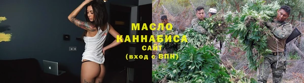 хмурый Арсеньев