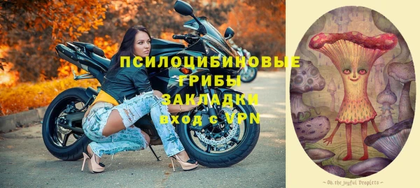 a pvp Алзамай