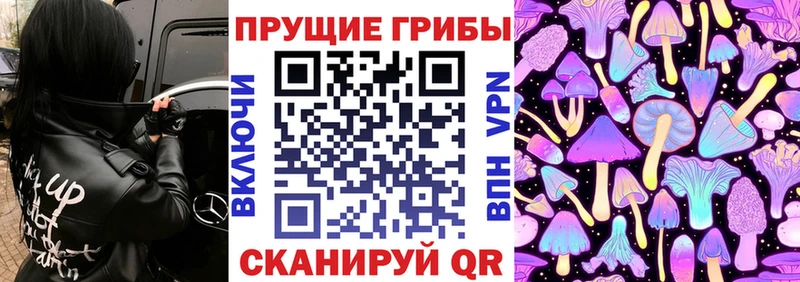 ОМГ ОМГ зеркало Бабаево Галлюциногенные грибы ЛСД